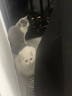 猫乐适猫咪泌尿道处方粮猫粮TS4尿道结石膀胱炎症尿闭尿血减少结石 泌尿道处方猫粮1.5kg*2包 实拍图