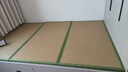 雅莱登电加热榻榻米垫子定做塌塌米椰棕地垫防水席加热炕垫踏踏床垫定制 3厘米加热3E椰梦维 升级款 实拍图