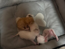 憨憨乐园 宠物猫窝狗窝M猫咪睡袋猫房子幼犬床秋冬大型泰迪四季垫子通用款 实拍图