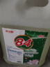 84消毒液大桶10斤装含氯家用拖地消毒漂白衣物酒店宾馆用去黄 实拍图