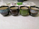 仟尚亿多肉花盆陶瓷个性简约室内植物创意粗陶花盆栽花盆透气大口径组合 SJH组合6个带托盘 中等 实拍图