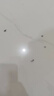 金鸡绵羊油真皮保养油无色擦皮鞋油黑色通用鞋刷擦鞋神器套装兽皮 无色2支68ml【鞋刷+抛光擦】 实拍图