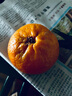 芫曦【现货】云南哀牢山冰糖橙柑橘脐橙新鲜水果应当季送礼品物盒 5斤 单果70-75mm 净重4.5斤 实拍图