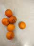 田良季广西金桔融安脆皮桔蜜新鲜滑皮水果生鲜小橘子送礼品礼物盒年货节 3斤装【尝鲜】净重2.5斤 优选果丨35-40枚/斤左右丨较甜 实拍图