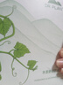 植物医生植物医生滇青瓜隐形面膜水漾舒润隐形面膜补水保湿敏感肌可用 青瓜5盒25片 实拍图