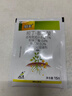 香林农台湾树葡萄嘉宝果树苗沙巴四季开花当年结果盆栽南方种植庭院绿植 沙巴5年苗130-160cm 实拍图