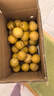 张小壮百香果 黄金果 广西钦蜜9号黄金百香果9号新鲜生鲜白香果水果 精选4.5-5斤约35-40个 实拍图
