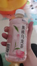 康师傅饮料小瓶330ml多口味冰红茶茉莉蜜茶夏季休闲办公室饮品整箱批发 蜜桃乌龙*6瓶 实拍图
