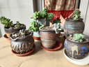 仟尚亿多肉花盆陶瓷个性简约室内植物创意粗陶花盆栽花盆透气大口径组合 地中海02组合5个 中等 实拍图