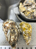 鲜海道【活鲜】鲜海道生蚝  乳山牡蛎 新鲜海蛎子生鲜贝类 精品3XL号带箱10斤 实拍图