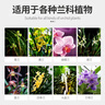 德沃多肥料兰灵王植物营养液550g*2兰花多箭素兰科花肥料君子兰蝴蝶兰促开花 实拍图
