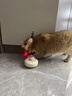 憨憨乐园猫玩具猫咪丰容玩具自嗨解闷神器小猫逗猫迷宫盒子掏掏乐掏洞用品 实拍图