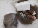 多肉组合盆栽阳台盆栽喜阳植物新手福利按图发货品种花卉好养 可爱嘟嘟四种【加盆土】 实拍图