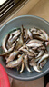 龙王恨鱼饵野战蓝鲫X5腥香钓鱼饵全年通用可搓可拉黑坑野钓鱼食钓鱼饵料 蓝鲫X5-腥香(300g/包)*5 实拍图