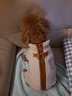 PEITE PET狗狗衣服冬季保暖四脚狗衣服宠物泰迪比熊博美小型犬狗衣服可牵引 杏色 S 【适合4-6斤】 实拍图