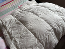 SIDANDA羽绒被95白鹅绒可水洗A类面料鹅绒填充266g 夏被200*230cm 实拍图
