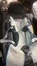 maxicosi婴幼儿童迈可适安全座椅汽车座椅用0-4岁isize ADAC Mica360Pro Mica360Pro石墨灰 实拍图