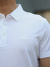 劲霸男装男士polo衫男纯色时尚休闲百搭多彩夏季短袖|FTBG2381 白色 XL 实拍图