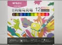 晨光文具12色水性丙烯马克笔安全美术生专用绘画涂鸦淡彩儿童女孩生日礼物APMT3305 实拍图