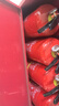 东消5kg干粉灭火器 家用商用五公斤3A手提式灭火气瓶灭水器 MFZ/ABC5A 实拍图