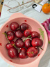 觅鲜探长智利进口车厘子大樱桃【多地次日达】新鲜水果可选礼盒装 2000g(净重) 精挑手选果 J 26-28mm带箱5斤 礼盒装 实拍图