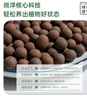 尚洋碳球陶粒3L园艺盆栽花卉装饰颗粒土花盆垫底拌土回填养花铺面石 实拍图