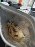 轻即无糖精原切芋头片椒盐香芋脆片条干肥薯片红薯健康减零食食品100g 实拍图