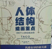 人体结构绘画重点 人体结构 人体绘画 崔元喜 TACO人体 解剖 动画人体结构教程 人体结构绘画教程 绘画技巧 绘画教程 实拍图