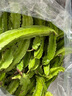 【顺丰】海南四角豆 龙豆角四棱豆四季豆  新鲜蔬菜 2斤【海南现摘发货】 实拍图
