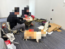 柏能商用办公室地毯酒店会议室大面积拼接方块地毯50x50cm8片装驼线灰 实拍图