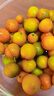 探味君 广西脆皮小金桔 应当季脆蜜滑黄皮小金桔橘桔子融安新鲜水果 净重2.8-3斤 中果（约45个/斤） 实拍图
