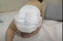 bebebus 金标茶树精华成长裤2XL20片(≥15kg)透气超薄拉拉学步裤男女宝 实拍图