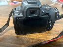 佳能（Canon）佳能200D二代 入门级单反数码相机 轻量便携 自拍视频vlog 半画幅单反 学生旅行家用 拍摄必备套装 实拍图