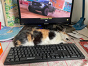 pc电脑大型单机游戏硬盘3a免steam免安装switch游戏硬盘即插即玩 1TB 【自选游戏】 即插即玩 实拍图