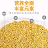 再再新黄谷子中小型鹦鹉饲料鸟粮食带壳小米虎皮玄凤牡丹食物粮食鸟粮 5斤装优质黄谷子 实拍图
