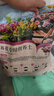 幸悦营养土养花土种菜绿萝多肉肥料通用型盆栽花卉有机种植土壤 养花土10斤 实拍图
