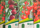 花沃里8款西红柿种子大全 蔬菜种子阳台花盆栽小番茄黑钻石紫珍珠大番茄 实拍图