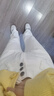 真维斯（JEANSWEST）牛仔裤女2025夏季显瘦高腰拖地直筒宽松阔腿裤潮流百搭米白M 实拍图