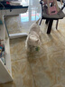 宜特（EETOYS）布绒犀牛狗狗玩具趣味发声幼犬成犬互动陪伴防拆家宠物用品 实拍图