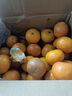尔蝶广西沃柑新鲜橘子当季时令水果桔子整箱砂糖蜜橘柑橘应季水果礼盒 精选9斤装 净重8.5斤 大果60-70mm 实拍图