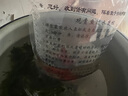 冷水鹦鹉鱼招财鱼血鹦鹉红金鱼冷水观赏鱼活体鱼苗好养耐活发财鱼 兰花鹦鹉3条【6-8cm】 实拍图