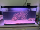 画法几何南美风枯木鱼缸造景套餐 米家智能鱼缸专用仿真枯木丛林  实拍图
