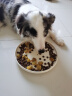 愛肯拿（ACANA）狗粮 海洋盛宴 成犬幼犬 靓毛鱼肉全价犬粮原装进口6kg 效期25/8 实拍图