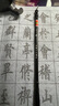 善琏湖笔毛笔水写布 字帖临摹练字书法套装水写毛笔练字布楷书初学者学生成人入门万次书写 实拍图