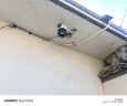 长城无线家用摄像头手机远程监控器360度无死角带夜视全景全景语音对话农村家庭室外高清户外防水球机 实拍图