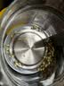 天际养生壶1.8L大容量烧水壶煮茶器智能预约煮茶壶办公室电水壶恒温壶 高鹏硅玻璃 20项菜单 容量 1.8L 实拍图