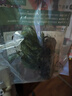 疯狂水草竹节草水草植物净化水质懒人鱼缸造景套餐直接入缸真水草种植环 【后景】细叶铁皇冠 实拍图