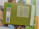 时代广场的蟋蟀典藏升级版：三年级推荐课外阅读书（麦克米伦世纪童书馆） 课外阅读 阅读 课外书   实拍图
