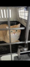 獒少保【新国航标准】宠物航空箱猫狗托运输猫咪狗狗外出箱便携手提笼子 2号【建议30以内宠物】 实拍图