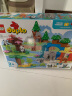 乐高（LEGO）积木得宝10446 三合一野生动物集合大颗粒积木桌儿童玩具生日礼物 实拍图